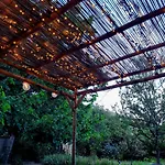 Bed & Breakfast D'hotes Les Berges De L'aude - - Proche Canal Du Midi & Carcassonne 3*