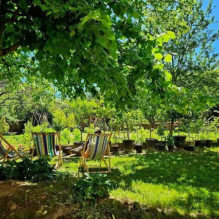 D'hotes Les Berges De L'aude - - Proche Canal Du Midi & Carcassonne Bed & Breakfast Puicheric